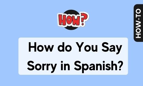 How Do You Say Sorry In Spanish Mega Mind Magazines